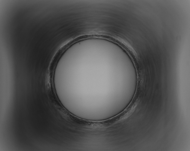 X0000100950974200807151333