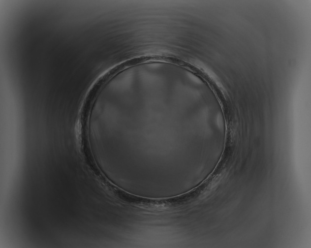 X0000100950975200807151333