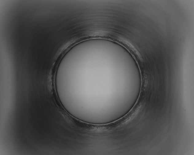 X0000100950978200807151333