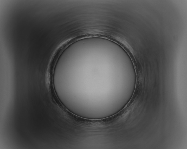 X0000100950979200807151333