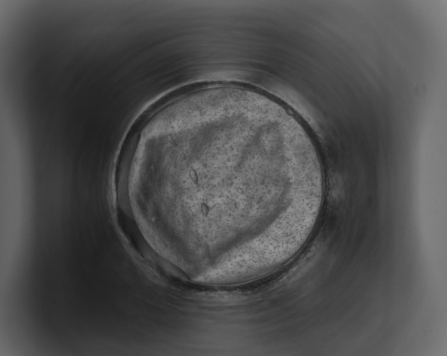 X0000100950980200807151333