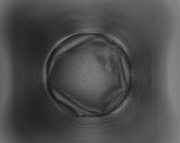 X0000100950981200807151333