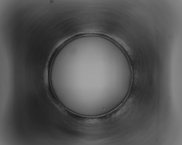 X0000100950982200807151333