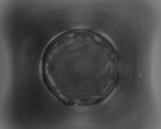 X0000100950983200807151333