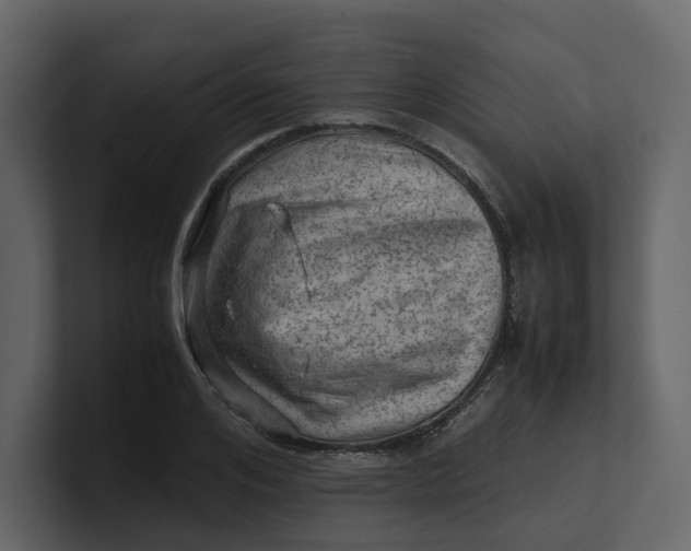 X0000100950984200807151333