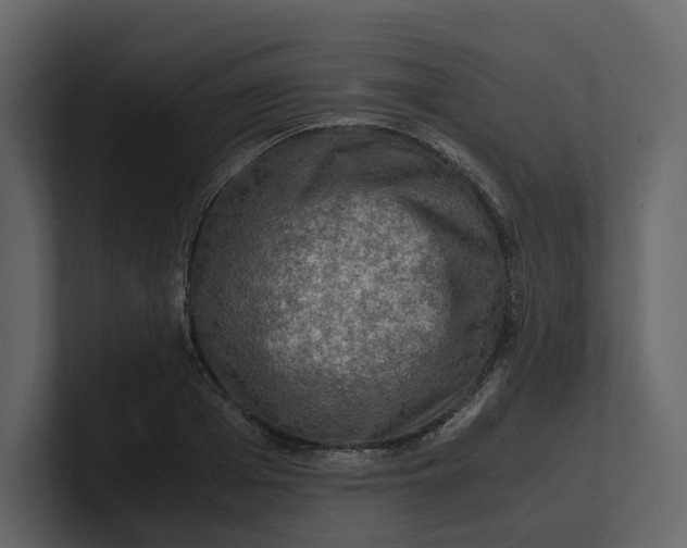 X0000100950985200807151333