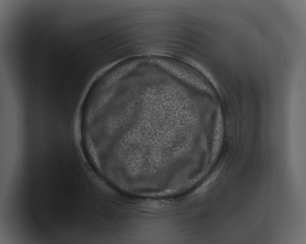 X0000100950987200807151333