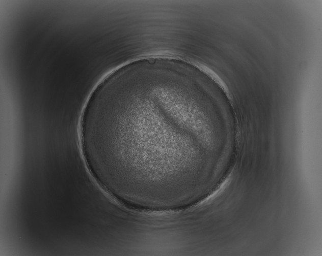 X0000100950989200807151333