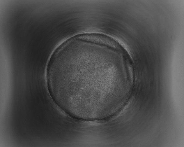 X0000100950990200807151333