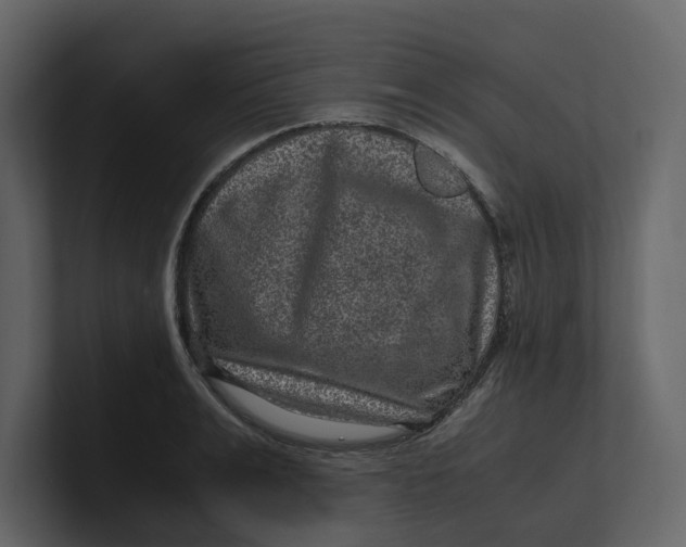 X0000100950991200807151333