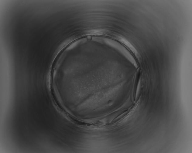 X0000100950994200807151333