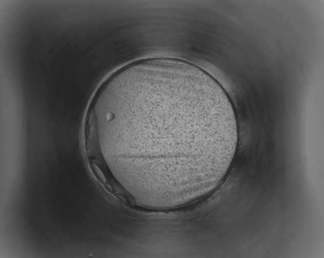 X0000100950996200807151333