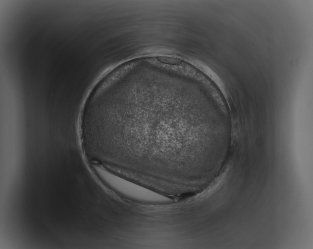 X0000100950997200807151333