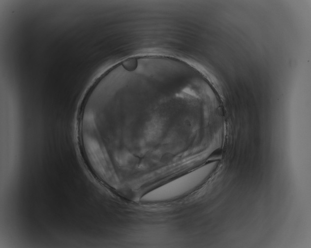 X0000100950998200807151333