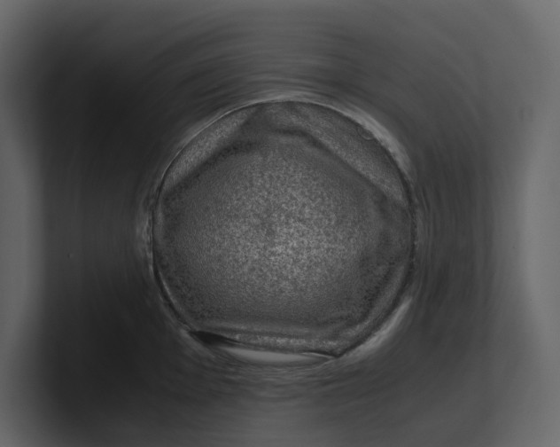 X0000100951001200807151333