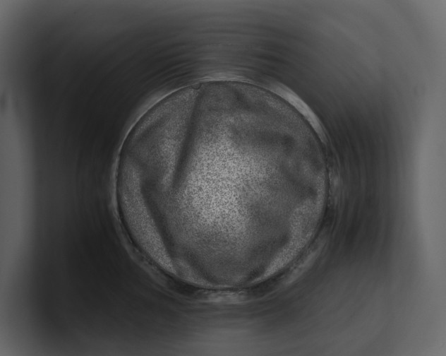 X0000100951002200807151333