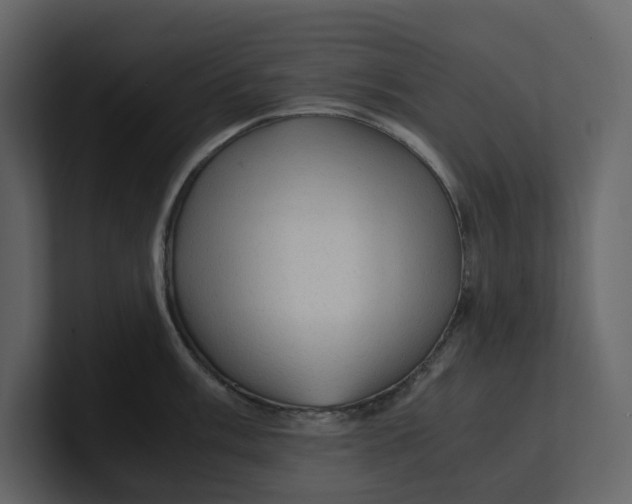 X0000100951003200807151333