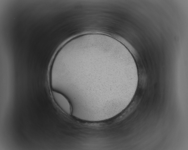 X0000100951004200807151333