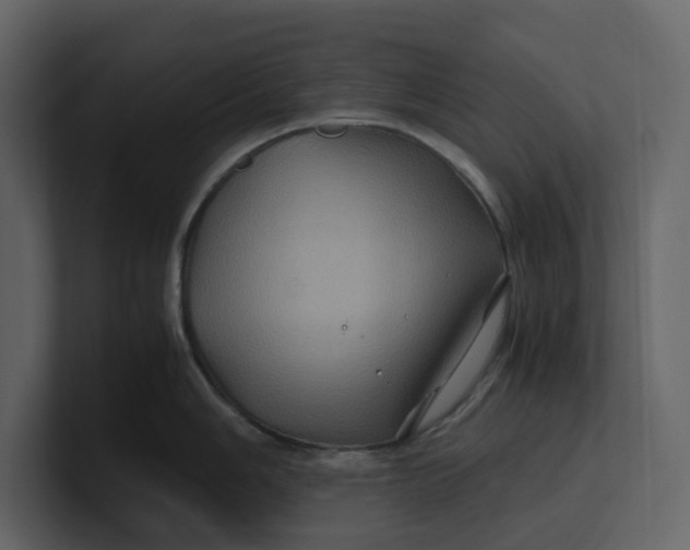 X0000100951006200807151333