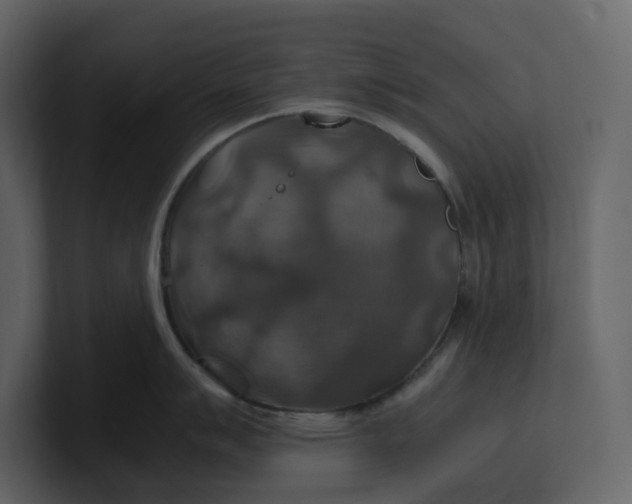 X0000100951007200807151333