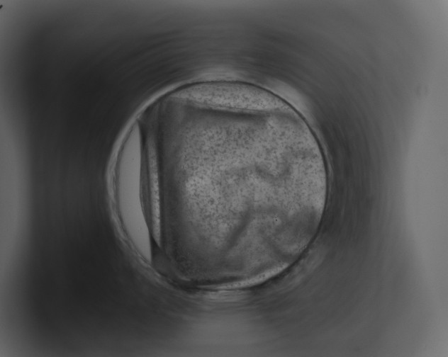 X0000100951008200807151333