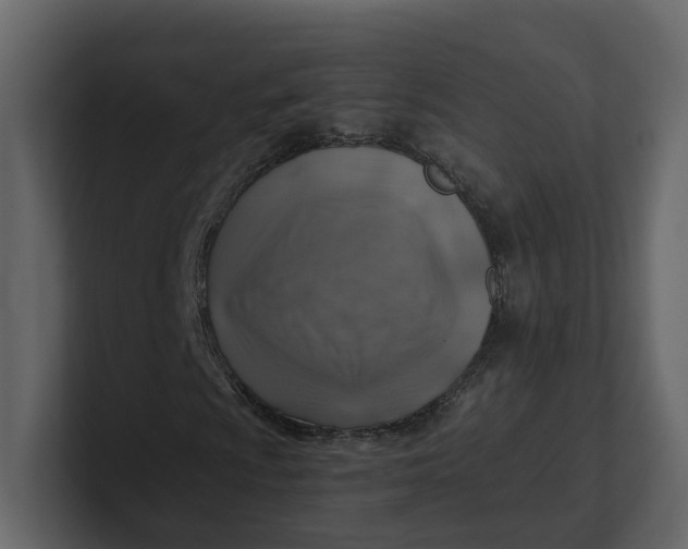 X0000100951009200807151332