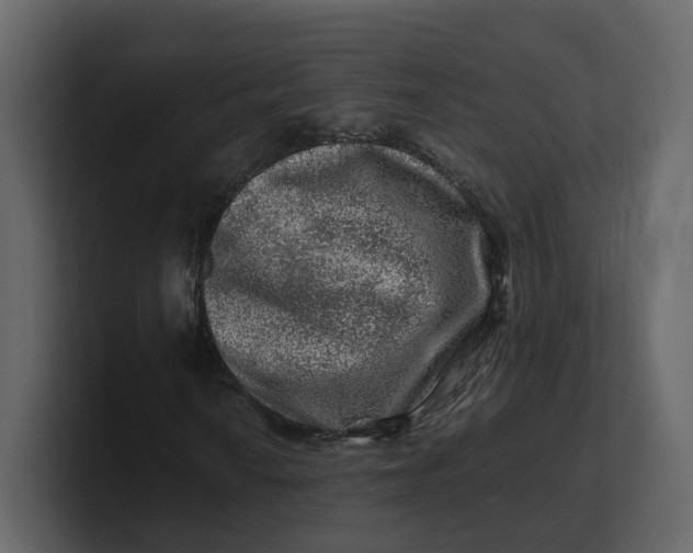 X0000100951010200807151332