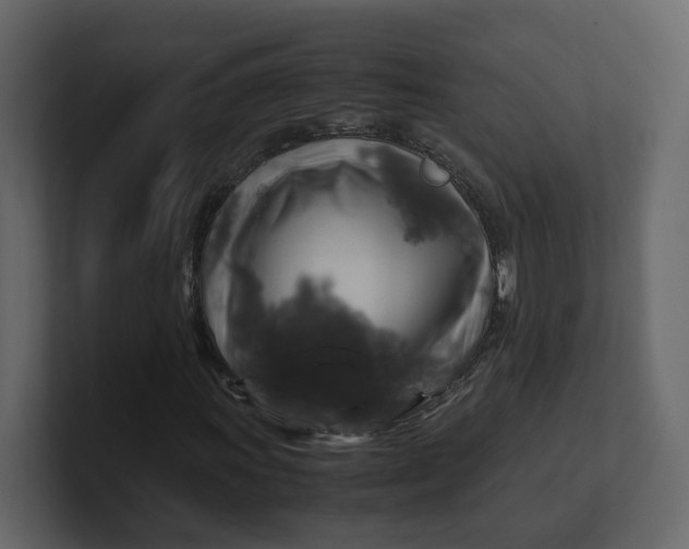 X0000100951011200807151332