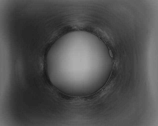 X0000100951012200807151332