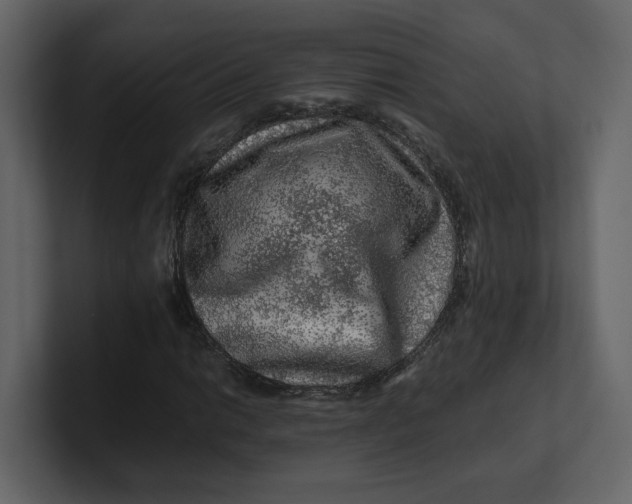 X0000100951014200807151332