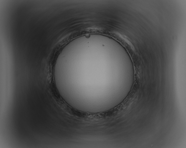 X0000100951015200807151332