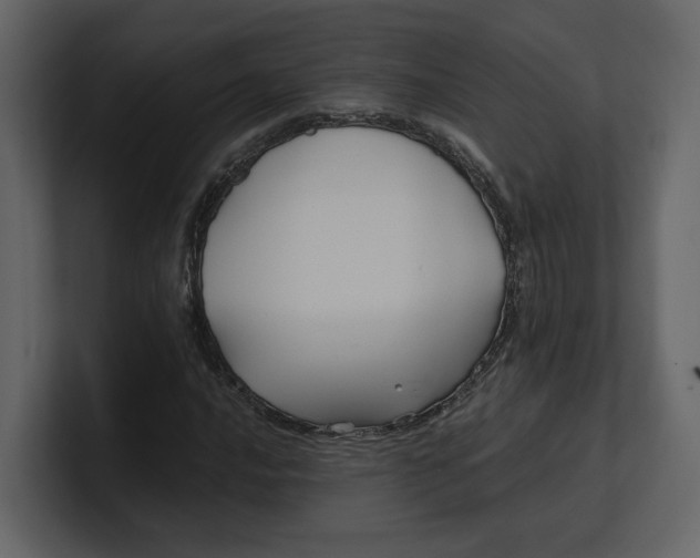 X0000100951016200807151332