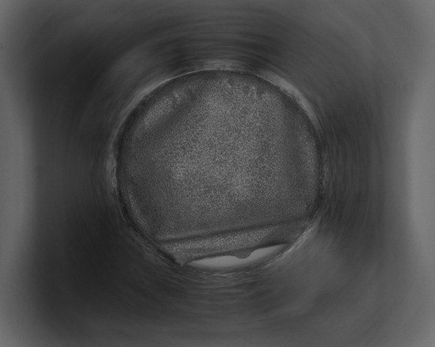 X0000100951019200807151332