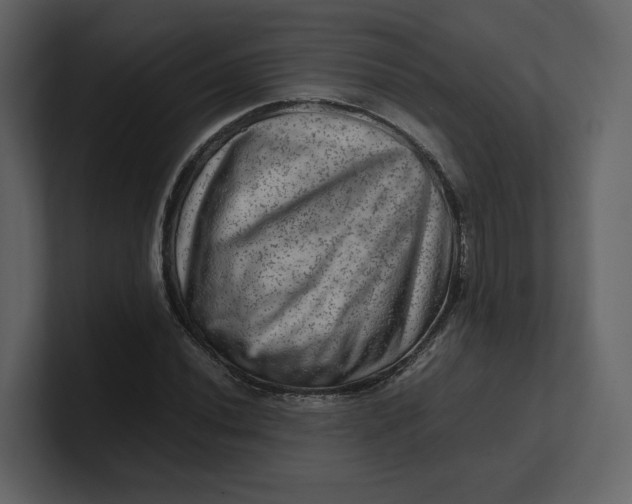 X0000100951020200807151332