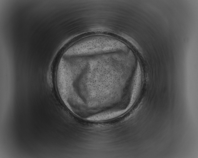 X0000100951022200807151332