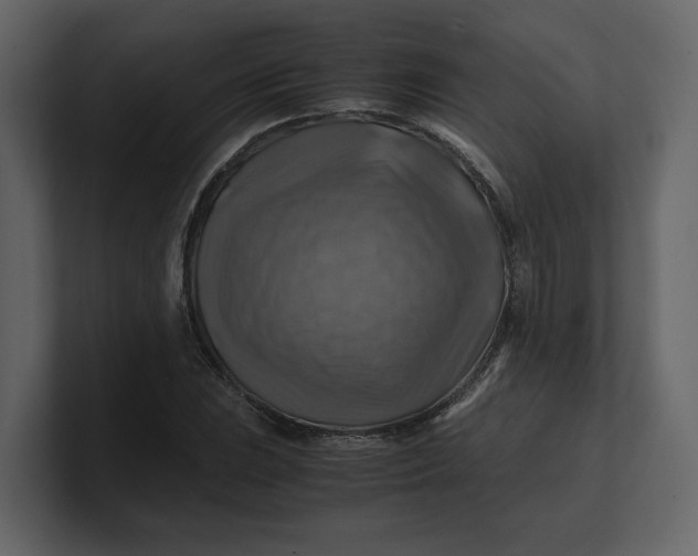 X0000100951023200807151332