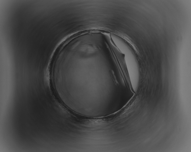 X0000100951024200807151332