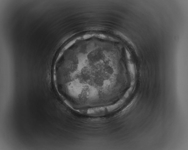 X0000100951025200807151332