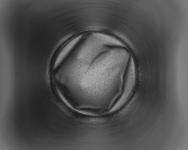 X0000100951026200807151332