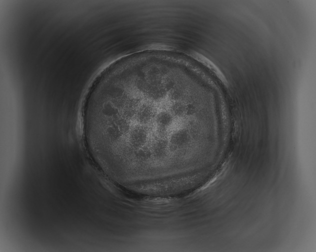 X0000100951027200807151332