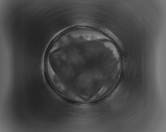 X0000100951028200807151332