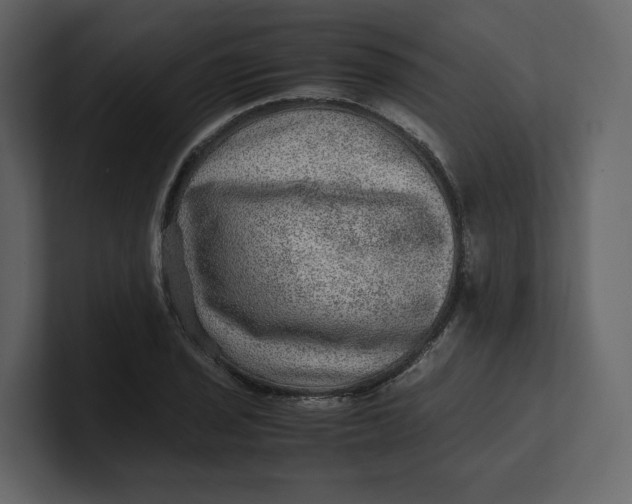 X0000100951029200807151332