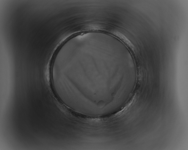 X0000100951031200807151332