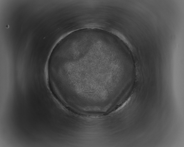 X0000100951032200807151332