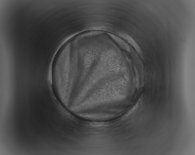 X0000100951036200807151332