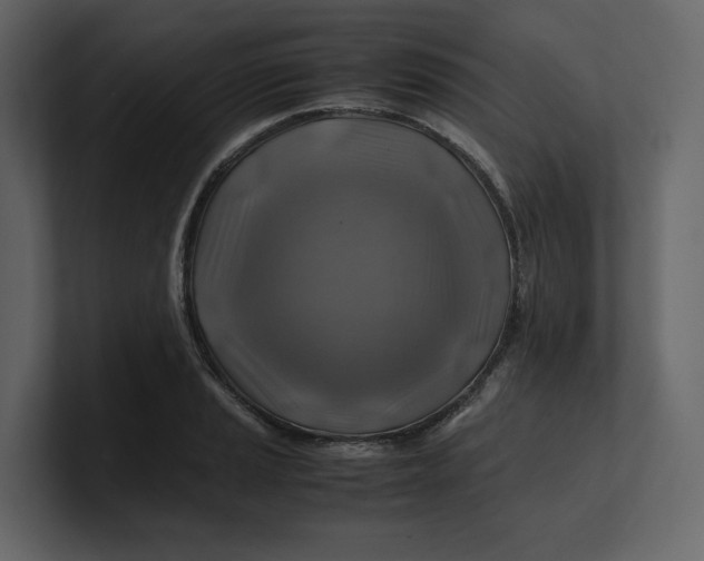 X0000100951037200807151332