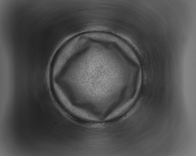 X0000100951038200807151332