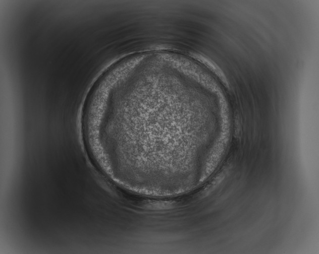 X0000100951039200807151332