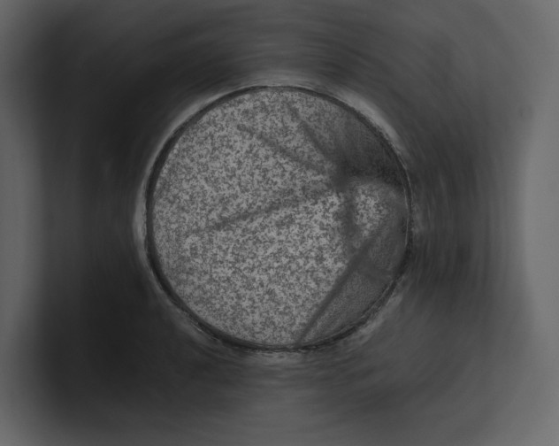 X0000100951040200807151332