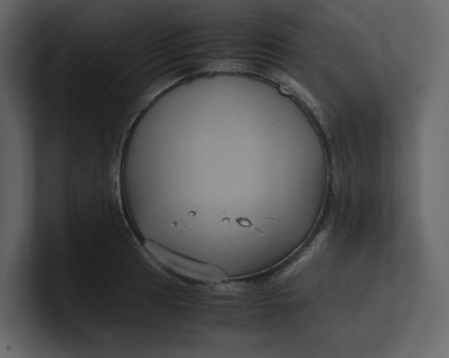 X0000100951041200807151332